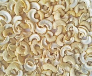 Điều nhân trắng WS