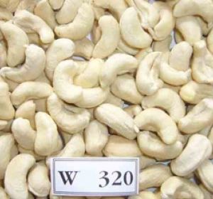 Điều nhân trắng WW 320