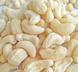 Điều nhân trắng WW 240