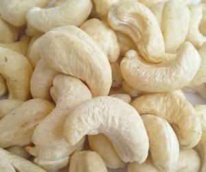 Điều nhân trắng WW 210