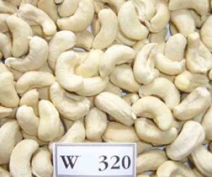 Điều nhân trắng WW 320