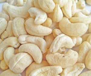 Điều nhân trắng WW 240