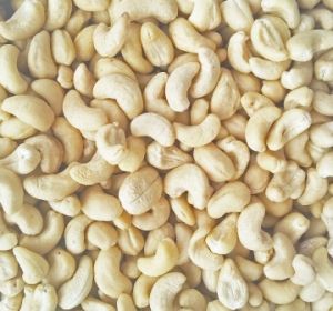 Điều nhân trắng WW 450